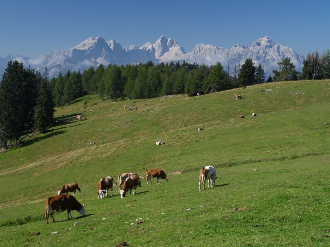 Pogled na slovenske alpe. (foto: Martin Brus)