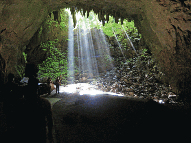 Beautiful nature also inside.