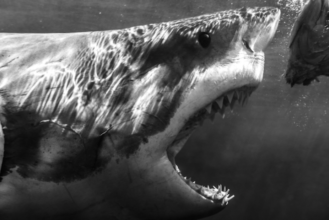 Todd Bretl - Close to Hungry Jaws. 