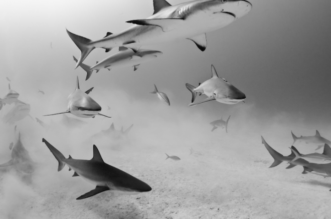 Todd Bretl - Time for Lunch!