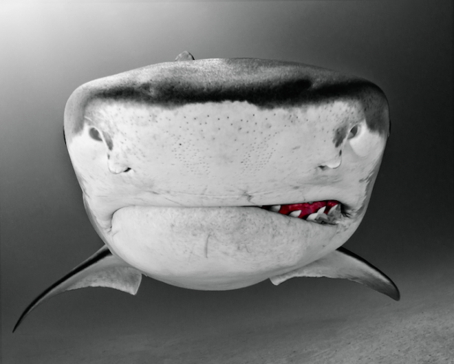 Todd Bretl - photomontage?! Or an extraordinary coincidence? 