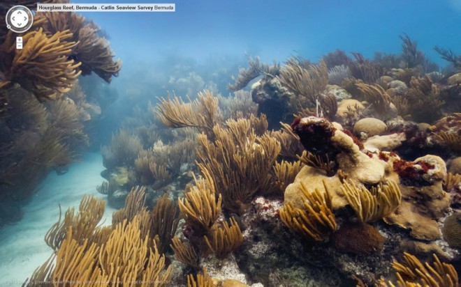 Hourglass Reef, Bermuda