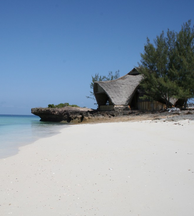 Chumbe Island Coral v Tanzaniji