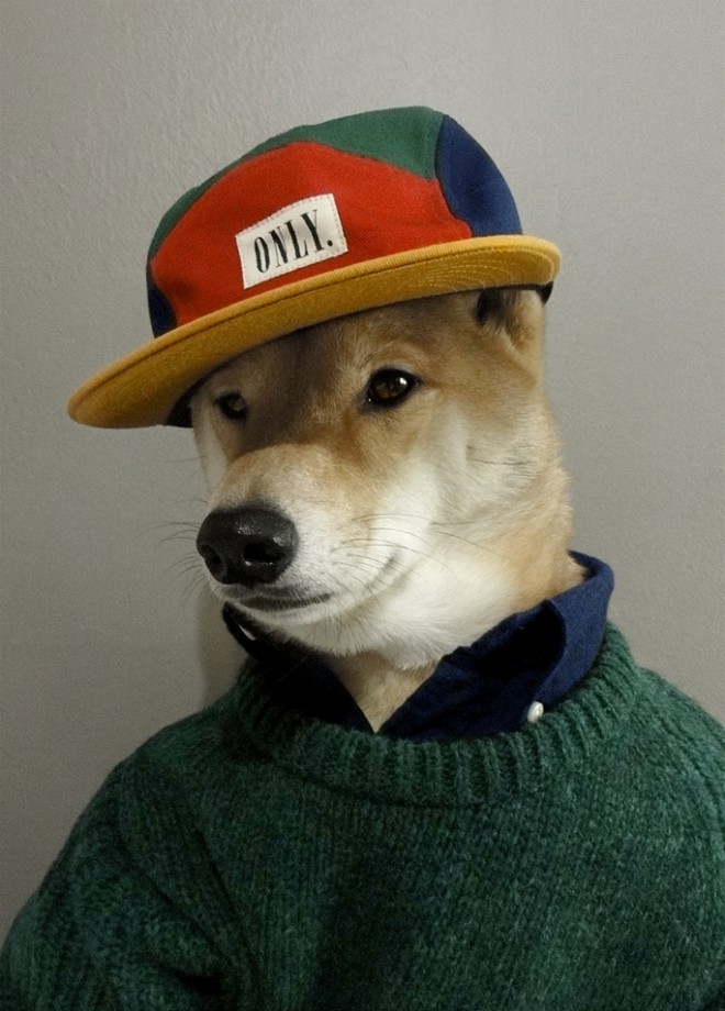 Pasja moda.