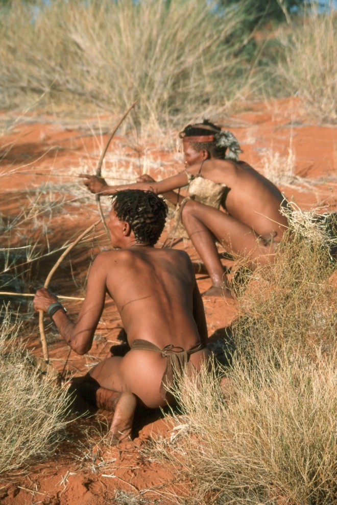 Bushman.
