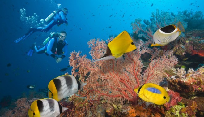 A Grande Barreira de Corais é uma das sete maravilhas naturais do mundo. Foto: Edição CNN