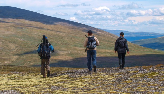 O segundo país mais feliz é a Noruega, com o Parque Nacional Dovrefjell. Foto: Edição CNN