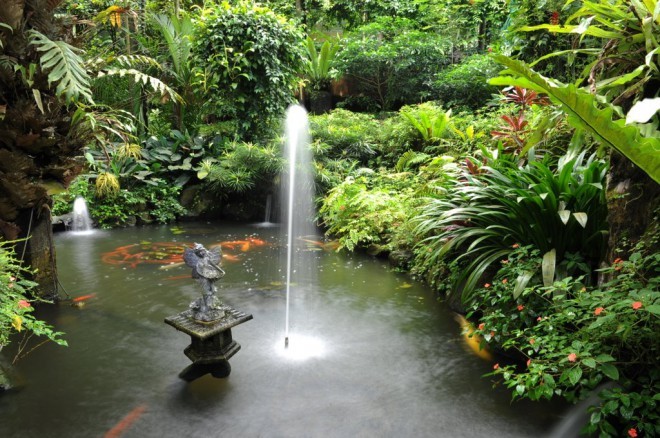 Foto: Kuala Lumpur Butterfly Park