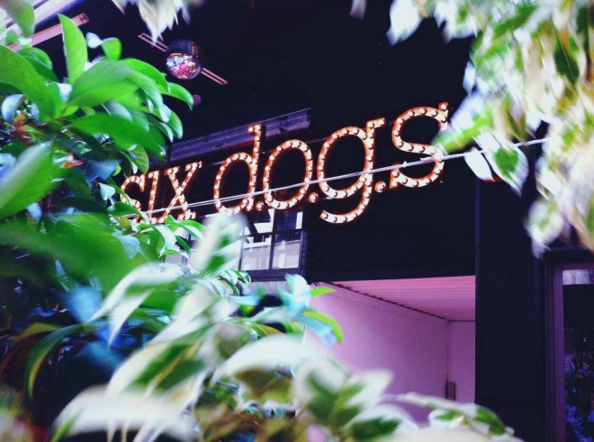 Klub Six d.o.g.s ponuja več kot petsto dogodkov letno.