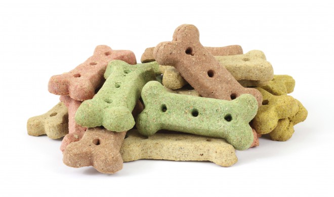 ¡Galletas secas para perros! 