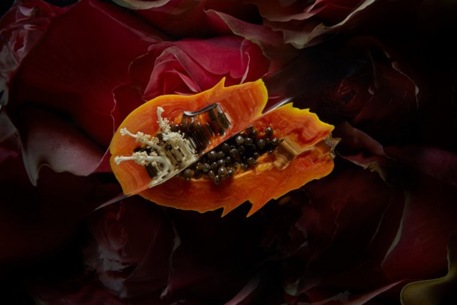 Il sapore di Scent of a Woman è stato creato in collaborazione con Christian Dior. 