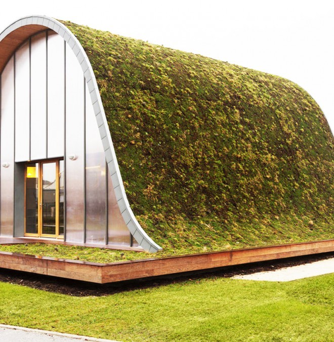 Een interessant, met gras bedekt huis.