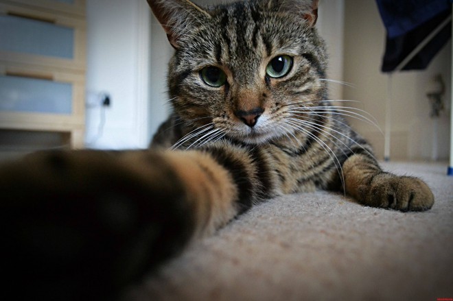 Hneď ma objímeš, len si najskôr musím urobiť 'selfie'.