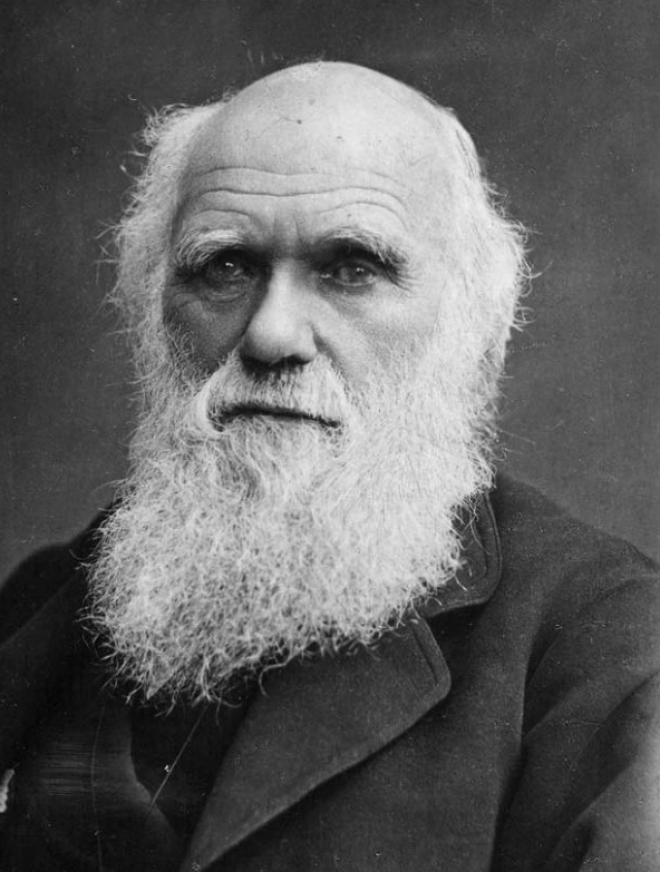 charles-darwin.jpg_1396593169