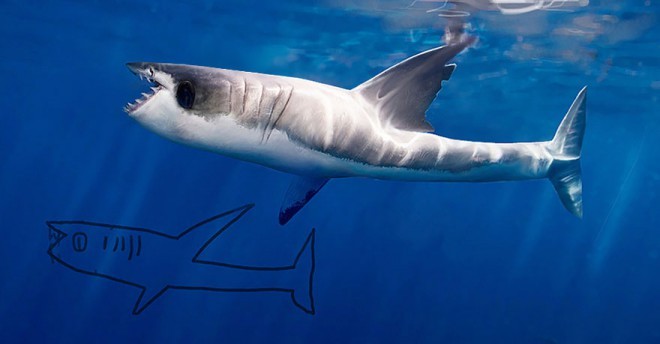 How a boy imagines a shark