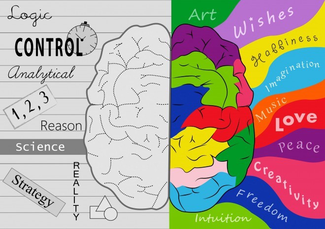 I musicisti hanno entrambe le metà del cervello ugualmente sviluppate.