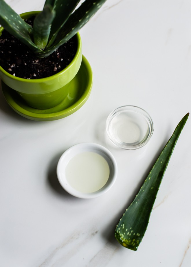 Aloe vera
