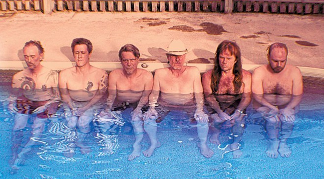 Swans