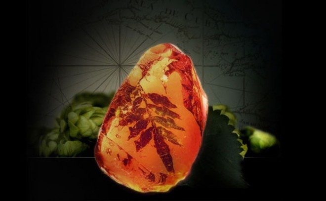 Jantar s sokom iz eocenske dobe za 45-Million-Year-Old Beer.