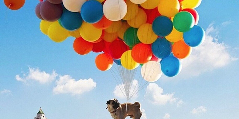 »Jaz te dam na balon, pa tud' če tvoja mama me sovraži...«