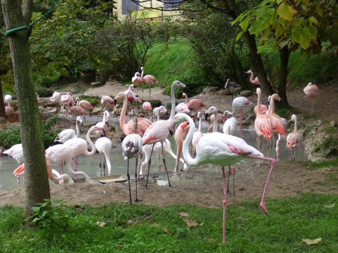 自然万岁公园