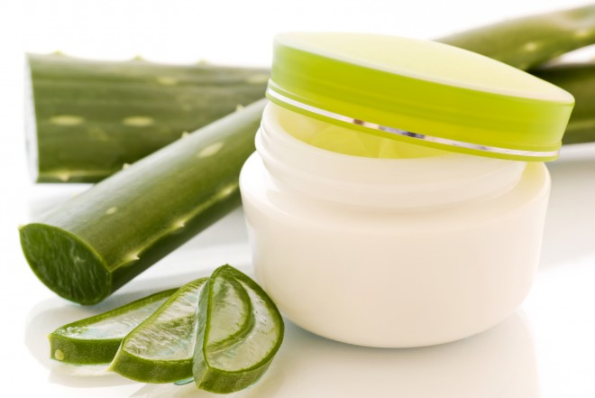 Aloe Vera