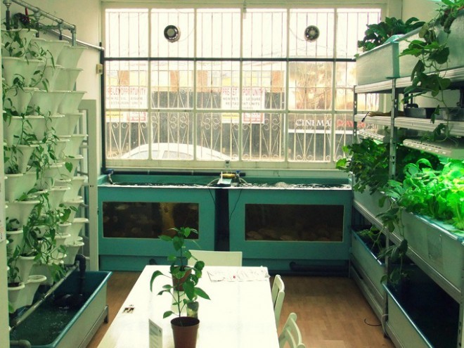 Farm:shop
