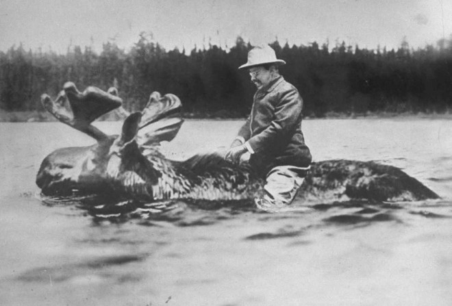 Theodore Roosevelt
