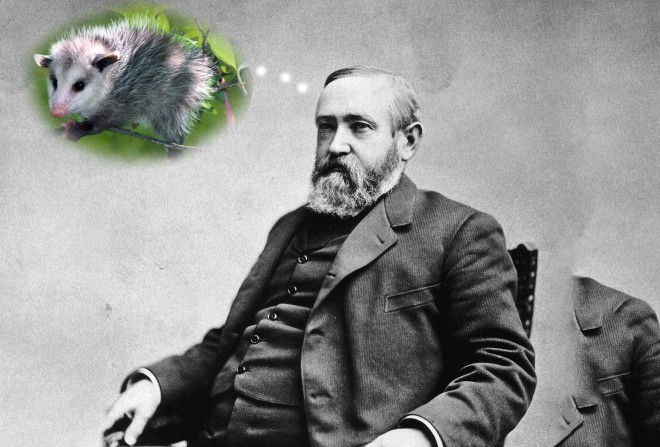 Benjamin Harrison