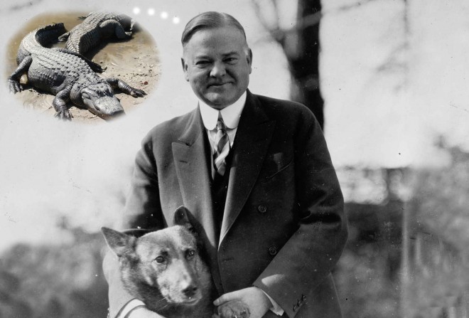 Herbert Hoover