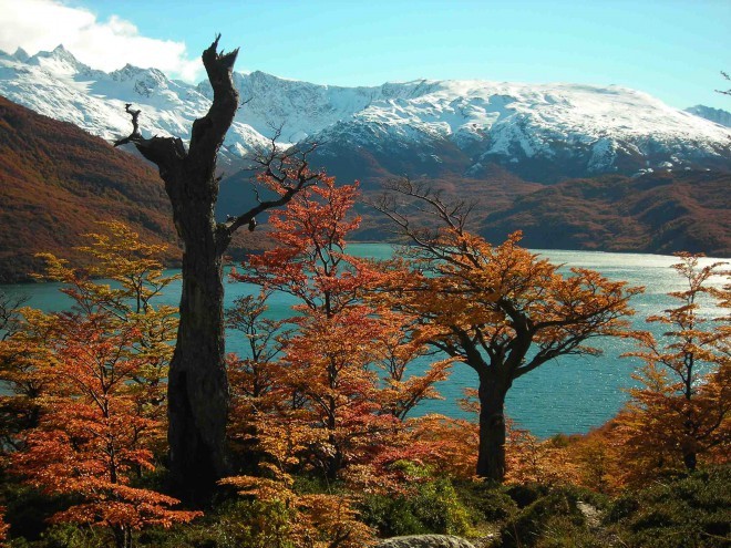 El Chalten, Argentina
