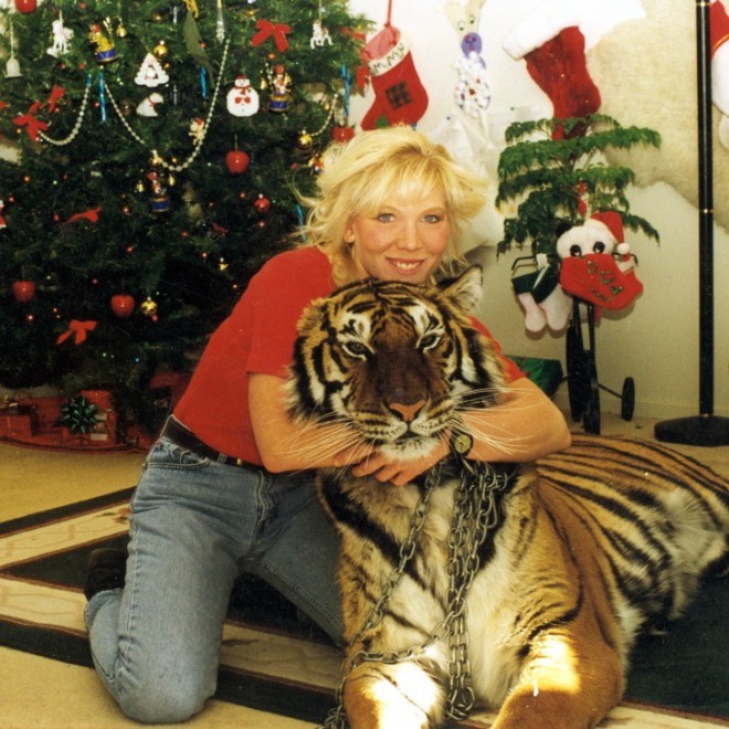 Tiger? Lev? Zakaj pa ne...