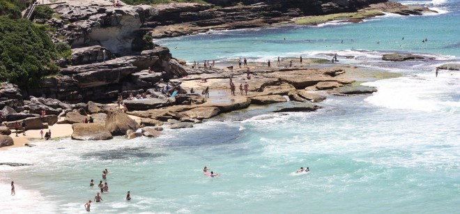Dyr lediggang på en australsk strand.