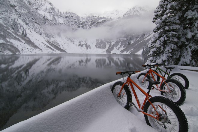 Gli speroni invernali sono leggermente diversi.