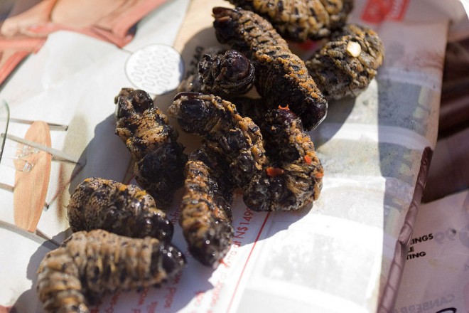 Mopane