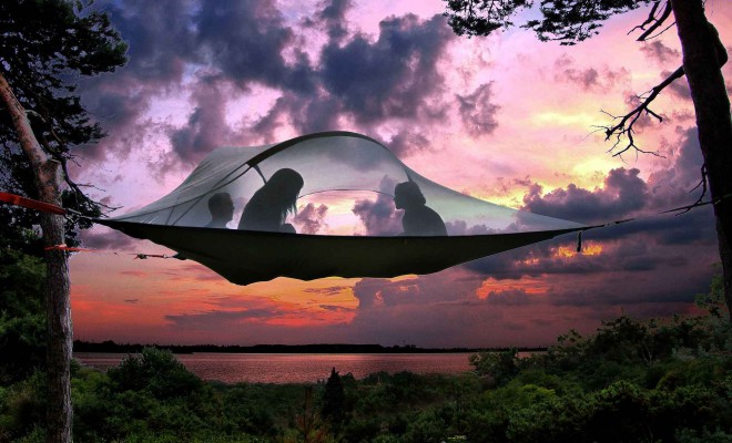 Tentsile Stingray