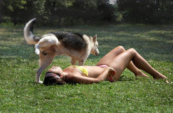 Un perro macho levanta la pata en señal de dominancia. 