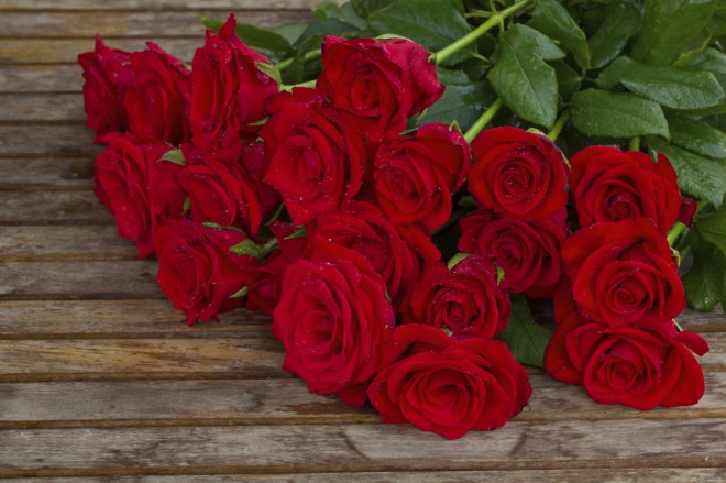 Dark red roses