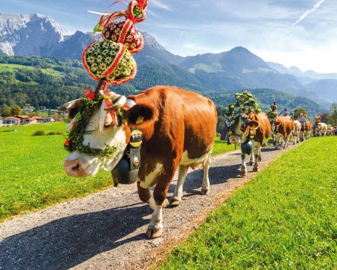Festival "Frühlingsfest" v Münchnu