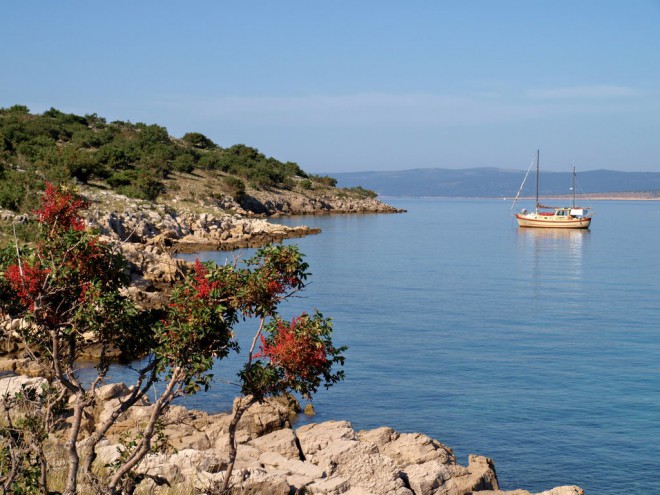 Konobe nudist beach, Punat - Krk 