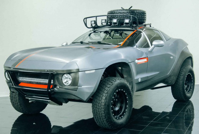 Luchador de rally