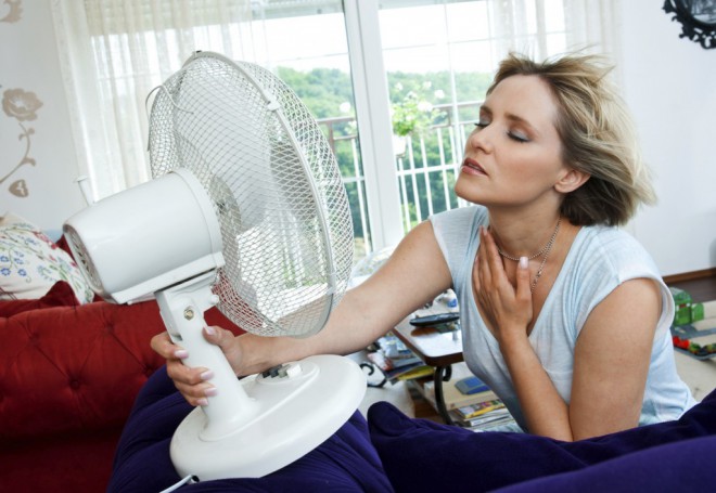 Un ventilateur est un excellent ami par temps chaud.