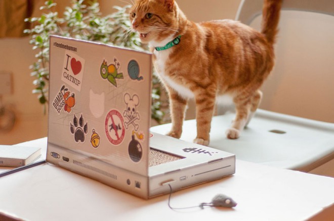 The world's first cat laptop.