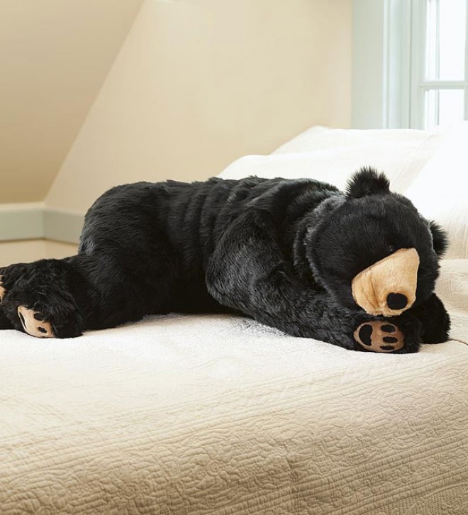 这个冬天你想像熊一样冬眠吗？ 