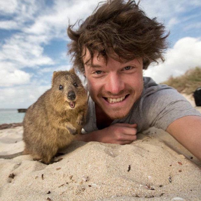 Allan Dixon a quokka.