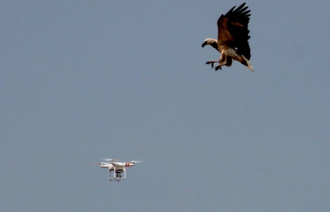 Dronom, ki so zatavali, se ne piše nič dobrega.