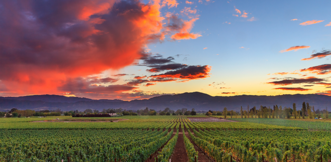Napa Valley, Kalifornia