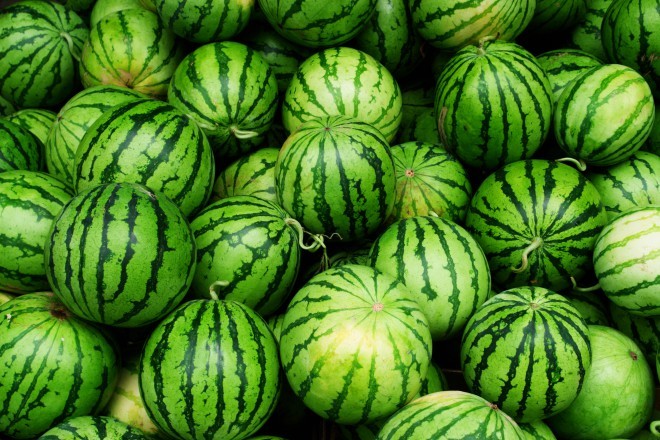 Zrcalce, zrcalce na steni povej, katera od teh lubenic najbolj zrela je zdaj?