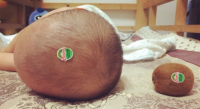 Morda pa je bolje, da moški vzgojo otrok vsaj v prvem letu starosti prepustijo ženskam.