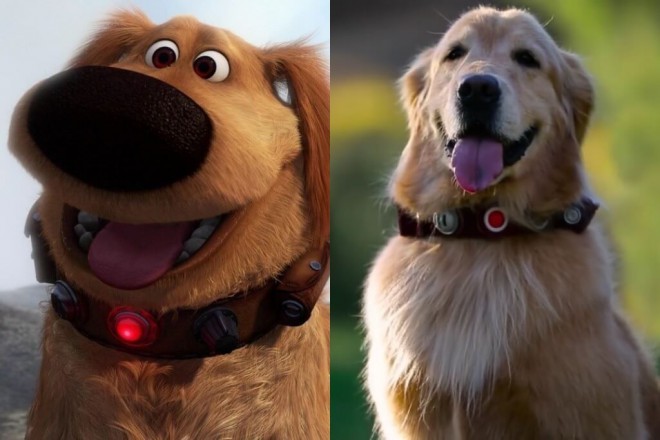 애니메이션 및 실제 Dug.